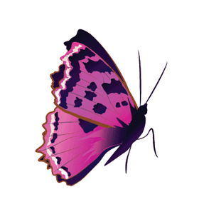 Татуировка переводная «Бабочка»