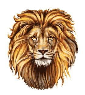 Переводная тату «Голова льва»